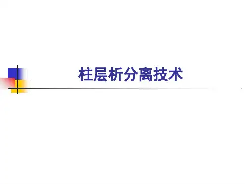 层析分离技术导论