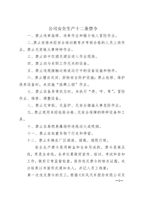 公司安全生产十二条禁令及相关规定