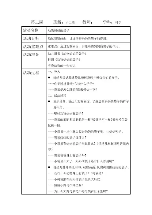 科学动物妈妈的袋子
