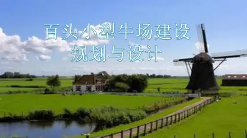 百头小型牛场建设规划与设计
