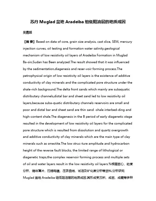 苏丹Muglad盆地Aradeiba组低阻油层的地质成因