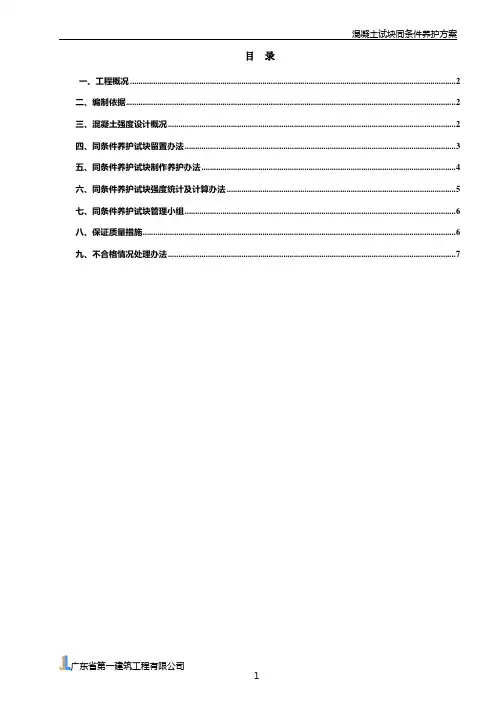 混凝土试块同条件养护方案