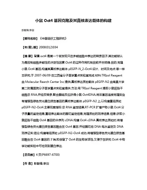 小鼠Oct4基因克隆及其真核表达载体的构建
