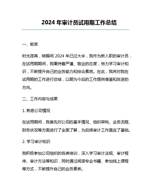 2024年审计员试用期工作总结