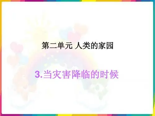 当灾害降临的时候ppt