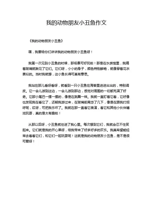 我的动物朋友小丑鱼的优秀作文