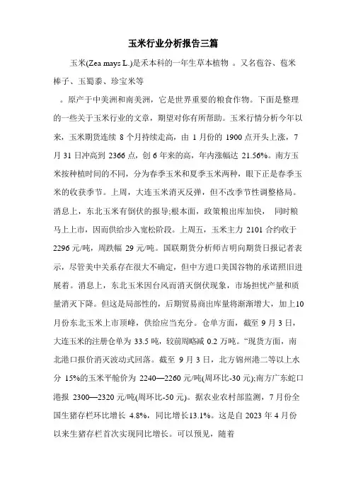 玉米行业分析报告三篇