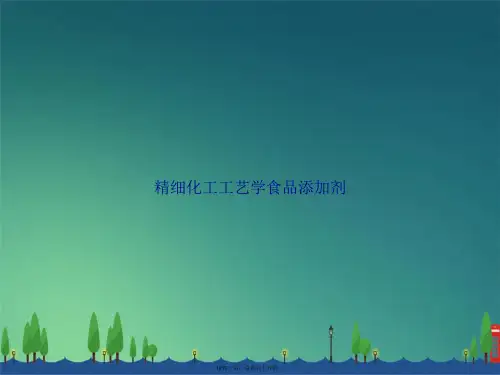 精细化工工艺学食品添加剂讲课文档