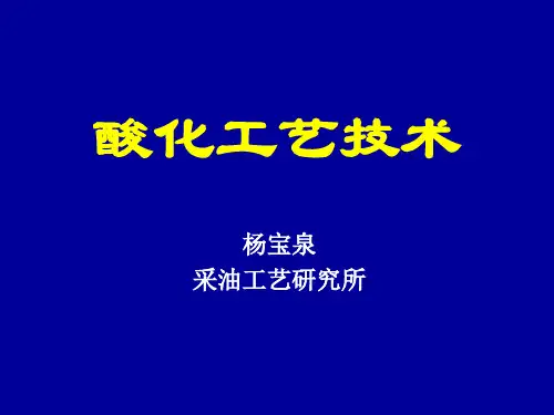酸化工艺技术大庆采油九厂