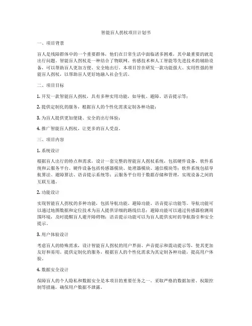 智能盲人拐杖项目计划书