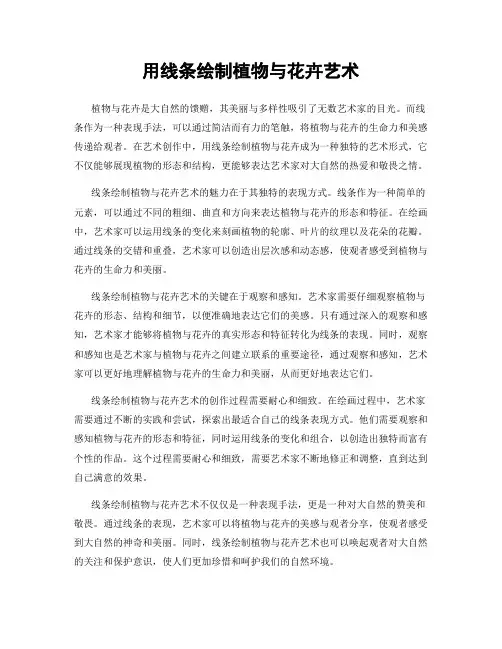 用线条绘制植物与花卉艺术