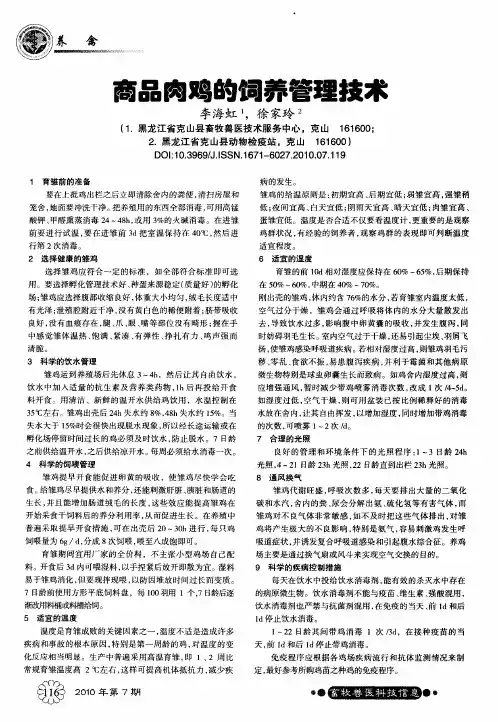 商品肉鸡的饲养管理技术