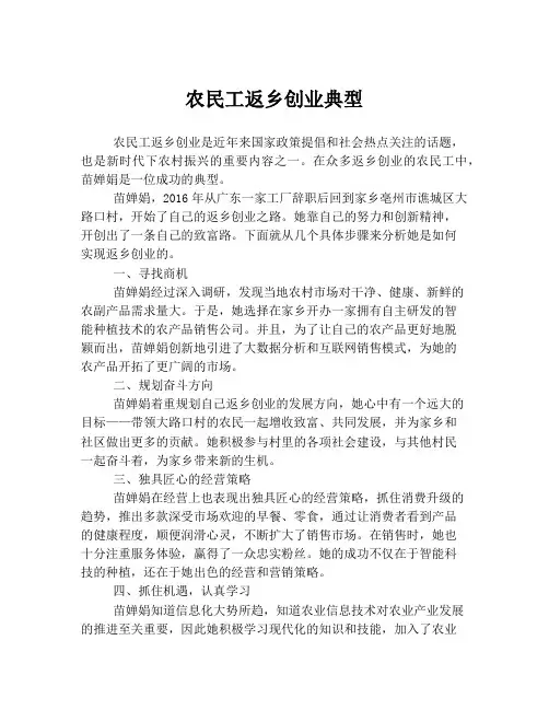 农民工返乡创业典型
