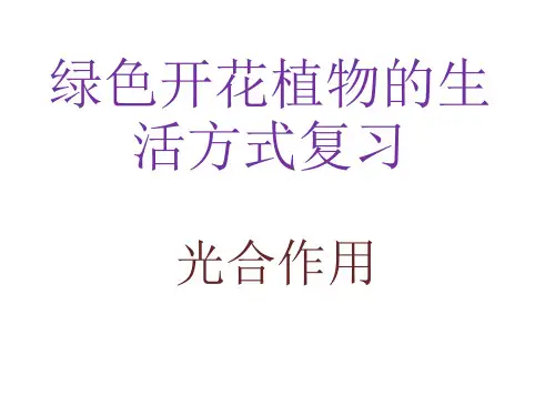 绿色开花植物的生活方式复习