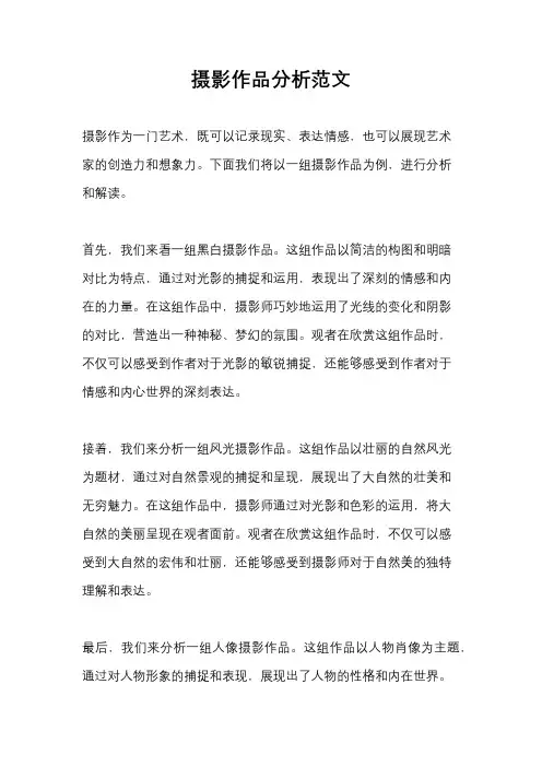 摄影作品分析范文