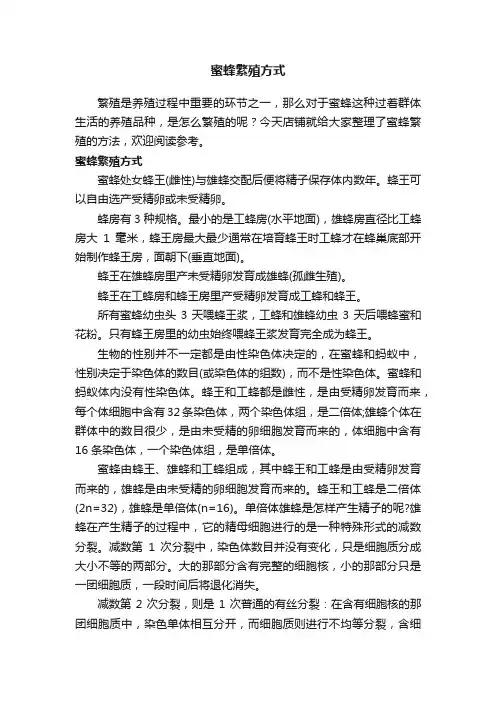 蜜蜂繁殖方式