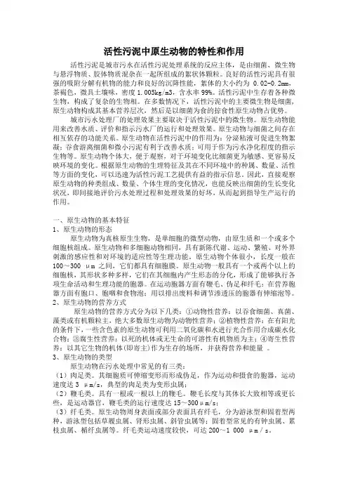 活性污泥中原生动物的特性和作用