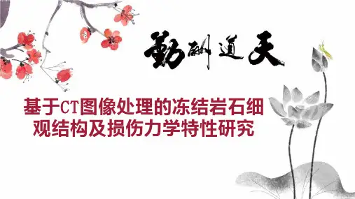 基于CT图像处理的冻结岩石细观结构及损伤力学特性研究