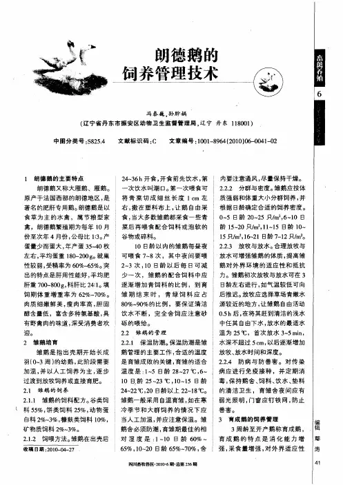 朗德鹅的饲养管理技术