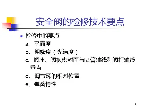 电站安全阀平面度检测技术