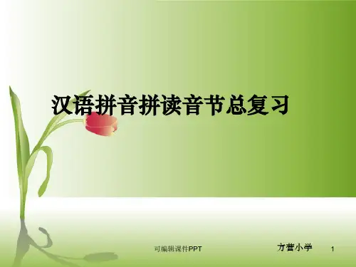 汉语拼音拼读音节总复习ppt课件