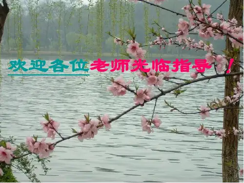高三语文专题复习——新闻短评