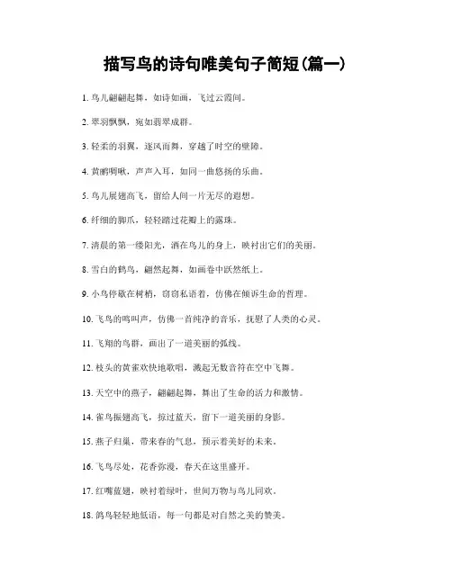 描写鸟的诗句唯美句子简短(精选2篇)