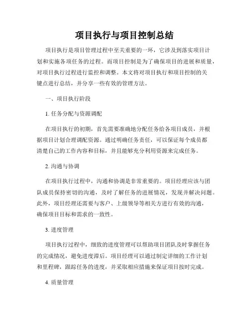 项目执行与项目控制总结