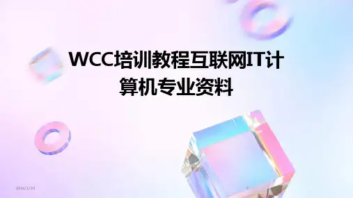 WCC培训教程互联网IT计算机专业资料(2024)