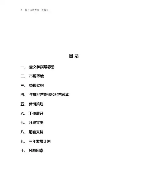 项目运营方案【精选文档】