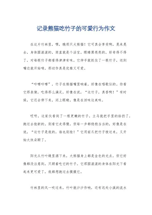 记录熊猫吃竹子的可爱行为作文