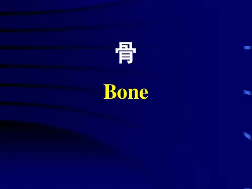 细胞生物学-骨课件