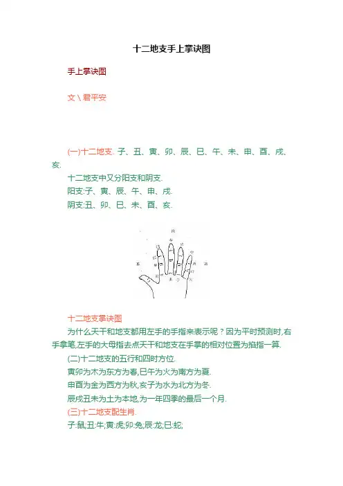 十二地支手上掌诀图