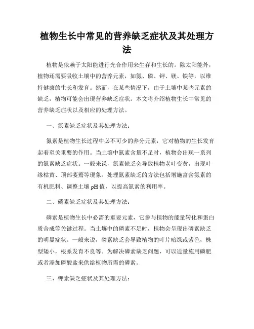 植物生长中常见的营养缺乏症状及其处理方法