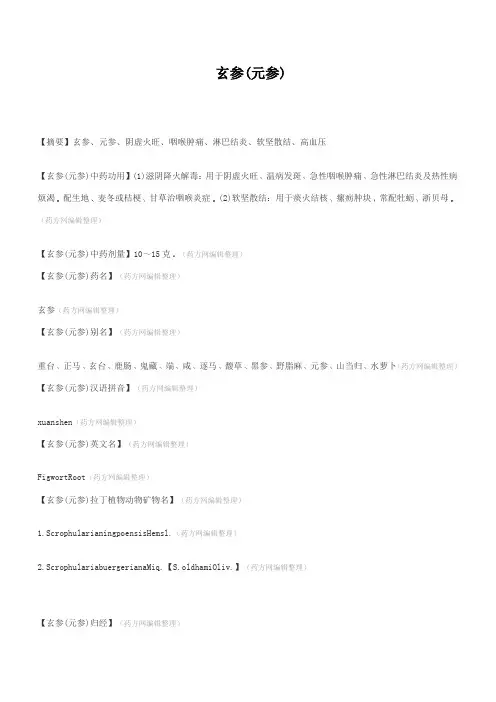 玄参