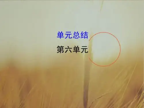 2018版高考历史一轮复习课件：第六单元 复杂多样的当