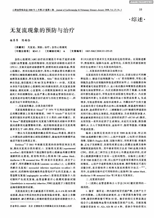 无复流现象的预防与治疗