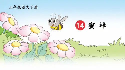 部编版三年级语文下册第14课《蜜蜂》精美课件【最新】