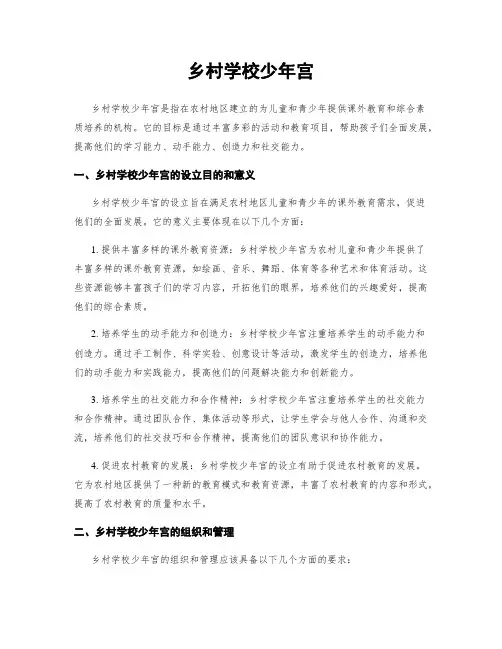 乡村学校少年宫