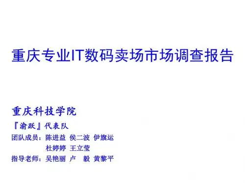 重庆专业IT数码卖场市场调查报告样本PPT课件( 39页)