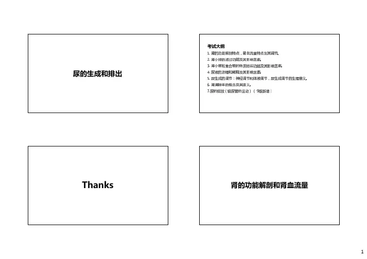 生理学尿的生成和排出讲义