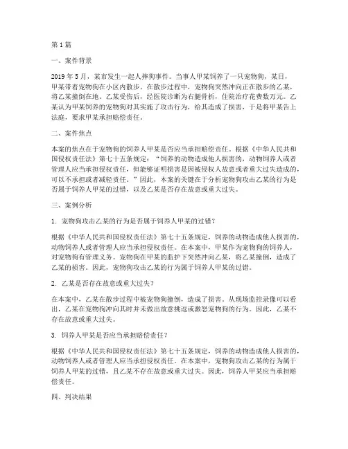 人摔狗的法律案例分析(3篇)