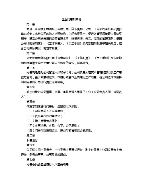 企业问责制案例