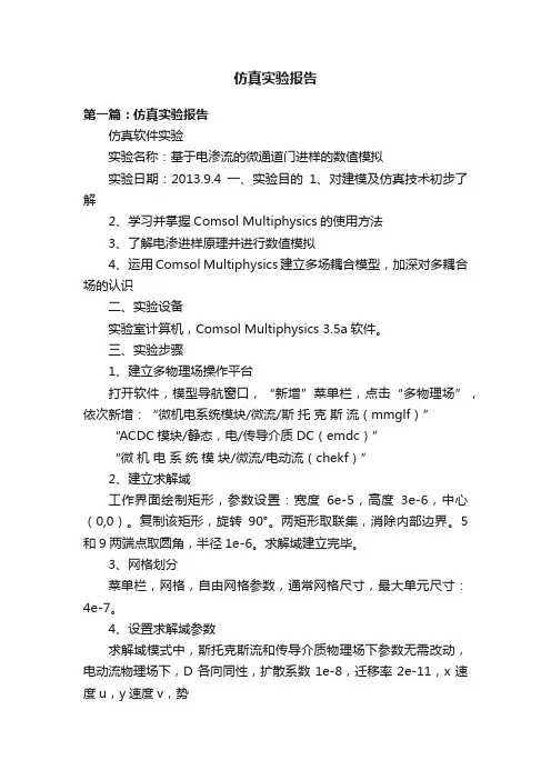 仿真实验报告