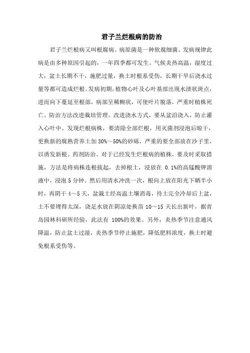 君子兰烂根病的防治