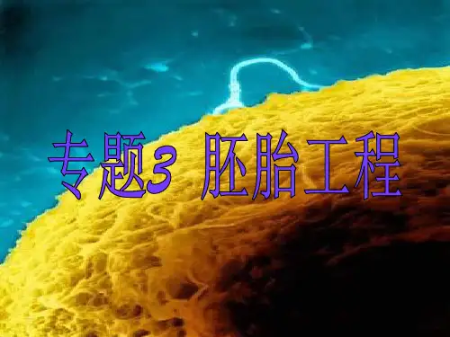 浙科版高中生物选修三3.1《从受精卵谈起》 课件 (共44张PPT)