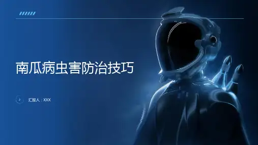 南瓜病虫害防治技巧