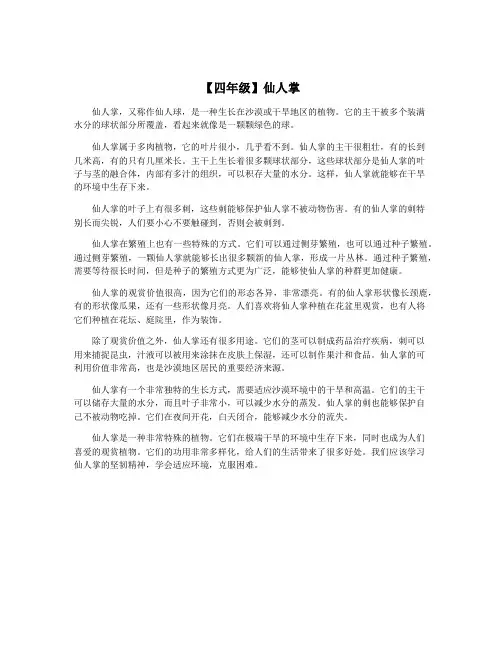 【四年级】仙人掌