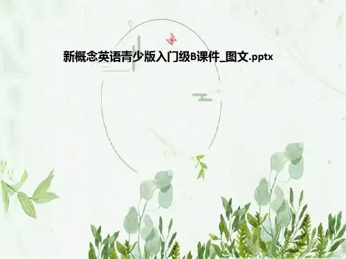 新概念英语青少版入门级B课件_图文