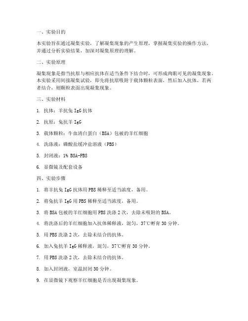 凝集实验报告结果分析